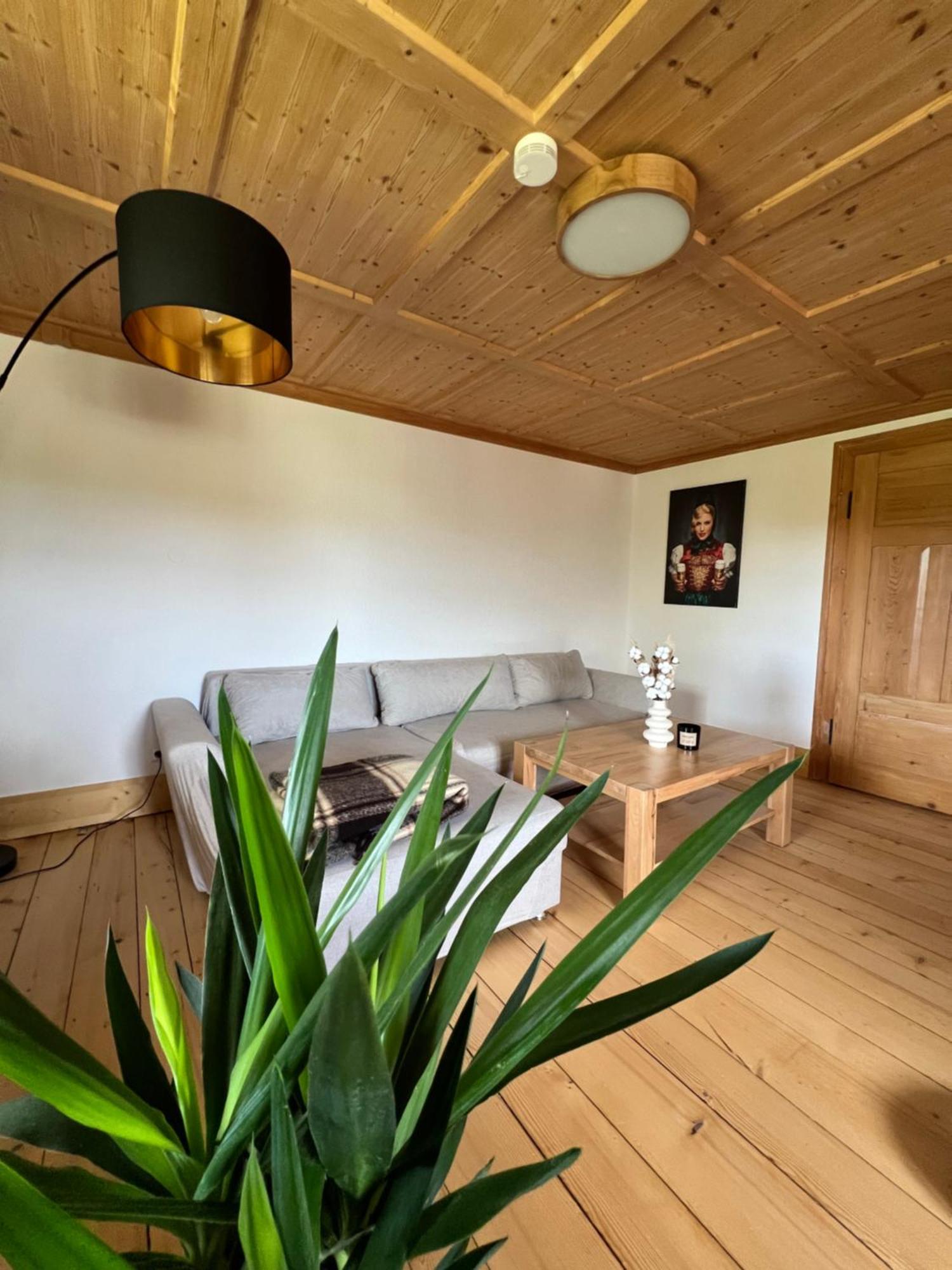Helle Gemuetliche Ferienwohnung In Schwarzwaldhof Ibach Exterior photo