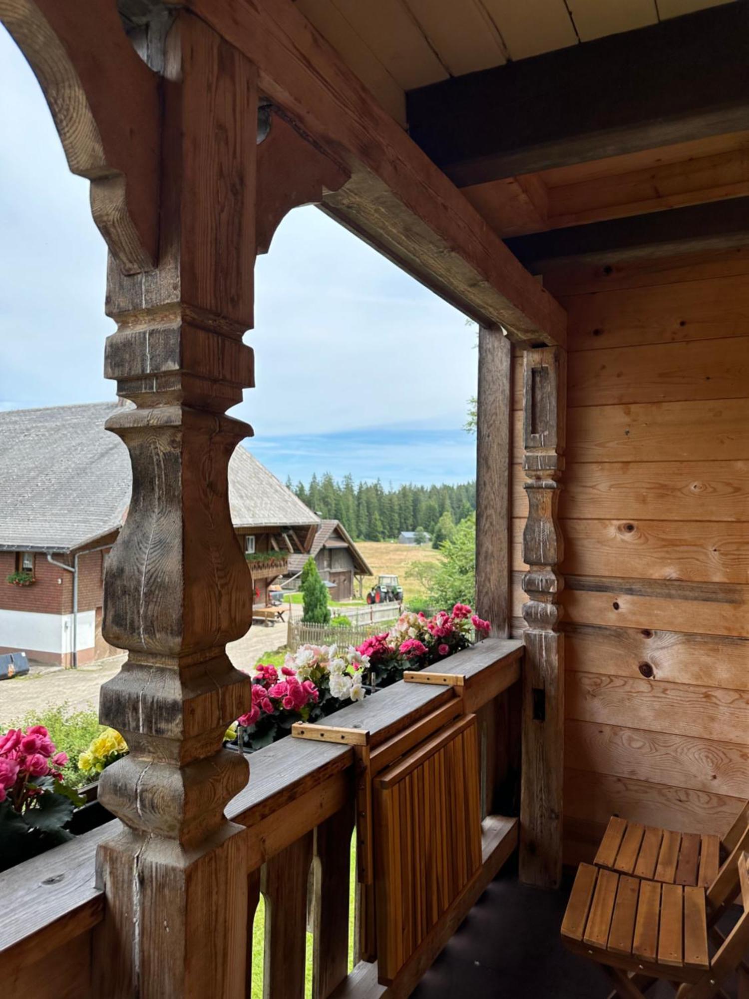Helle Gemuetliche Ferienwohnung In Schwarzwaldhof Ibach Exterior photo